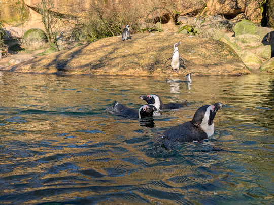 Zoo Wuppertal-伍珀塔尔必去景点
