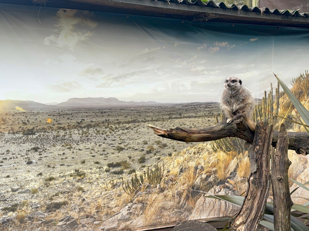 Hemsley Conservation Centre-Fairseat必去景点