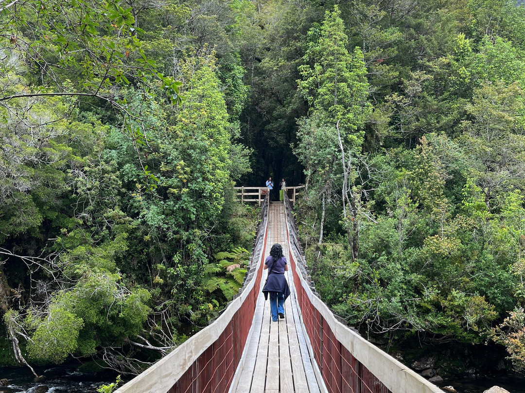 Parque Nacional Alerce Andino-蒙特港必去景点