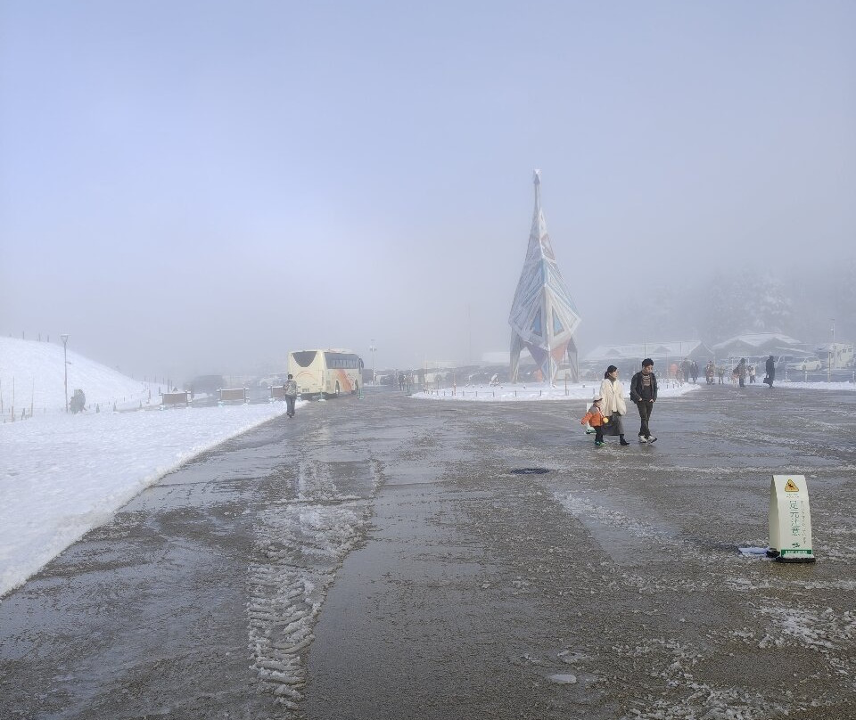 Fukui Prefectural Dinosaur Museum-胜山市必去景点