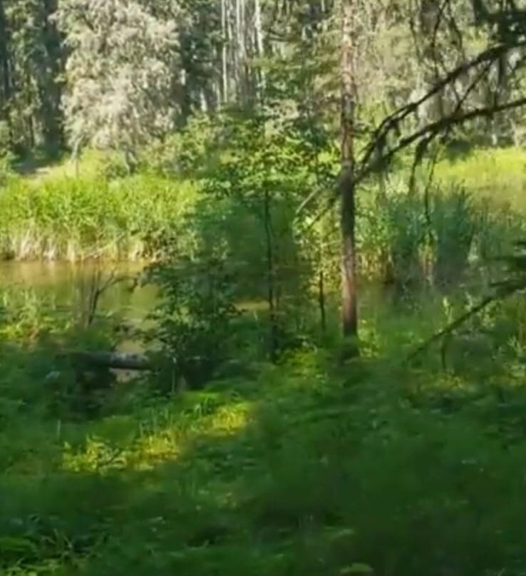 Prince Albert National Park-Waskesiu Lake必去景点