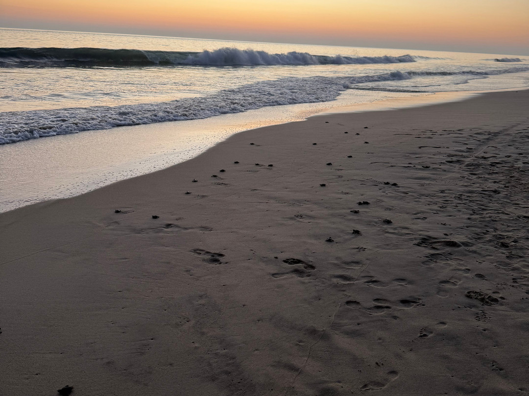 Oscar Velasquez-瓦图尔科必去景点