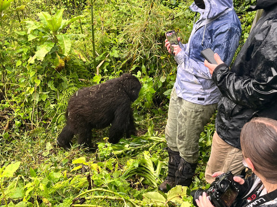 Active African Vacations-坎帕拉必去景点