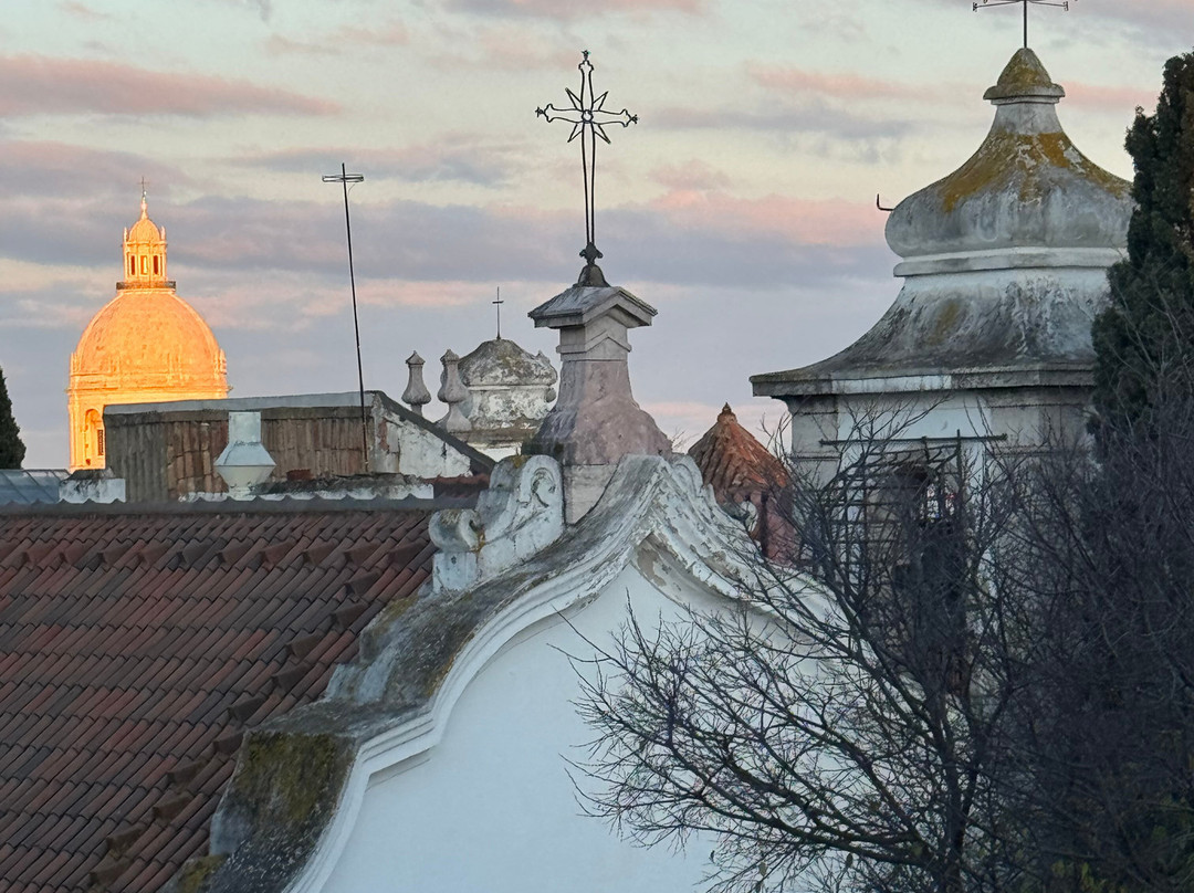 圣地亚哥阿尔法玛精品酒店主图