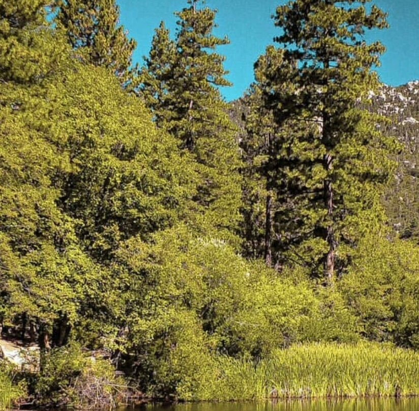 Lake Fulmor-Idyllwild必去景点