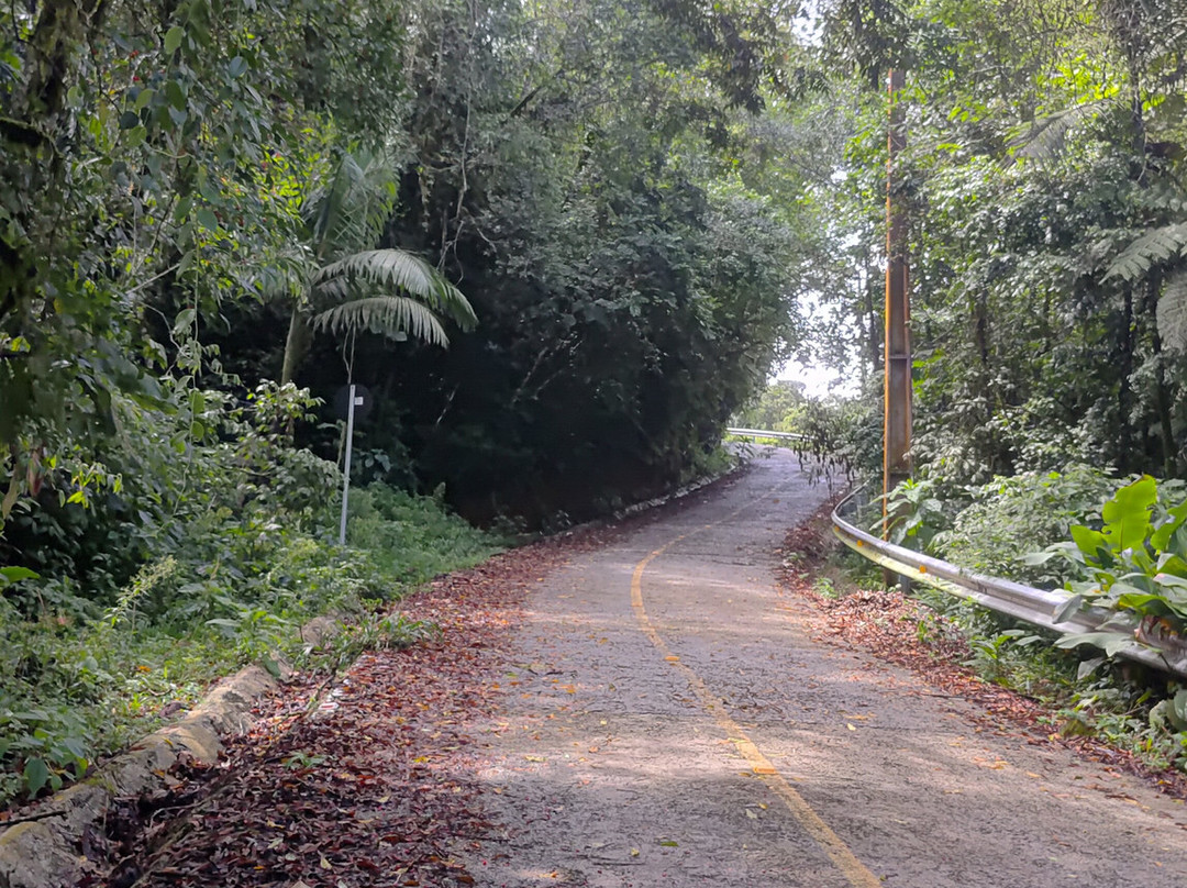 Morro das Antenas-Jaragua Do Sul必去景点