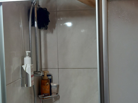 Die Kuh am See主图