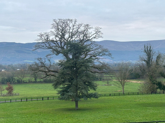 Lismacue House主图