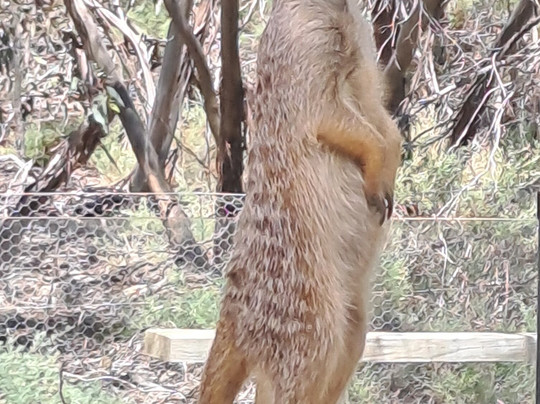 Monarto Safari Park-Monarto必去景点
