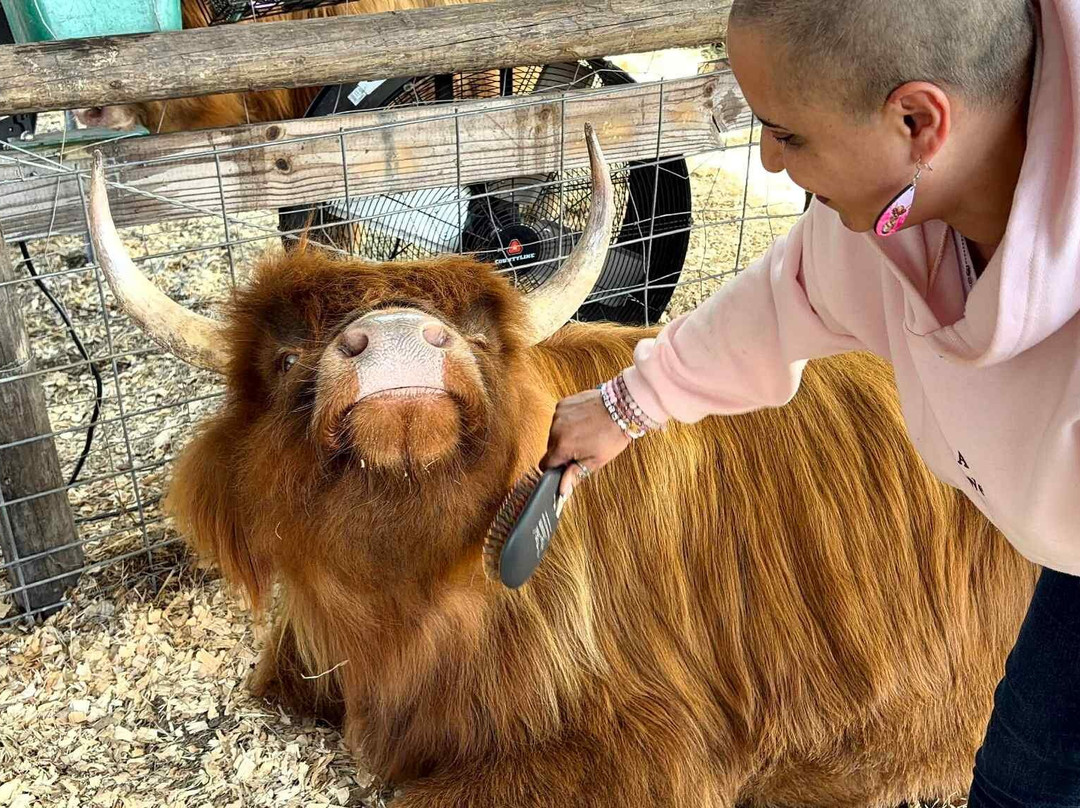 Rooterville Animal Sanctuary-Melrose必去景点