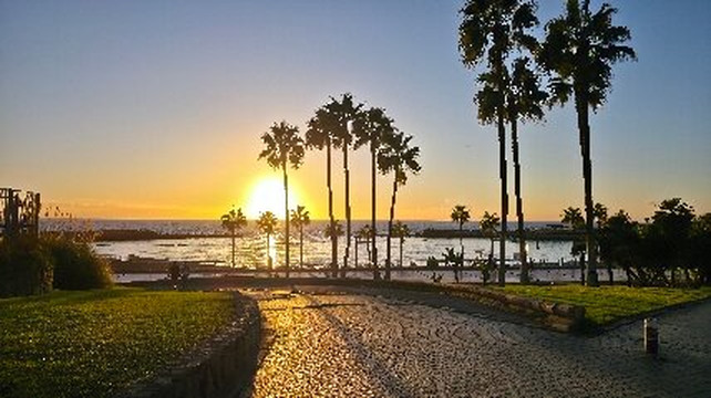 Playa de Mogan-莫干港必去景点