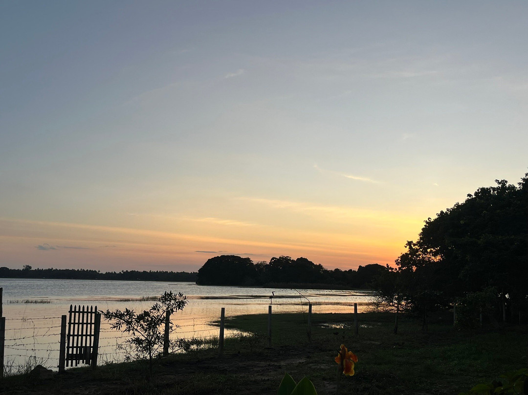 Sigiritrip Tours-锡吉里亚必去景点