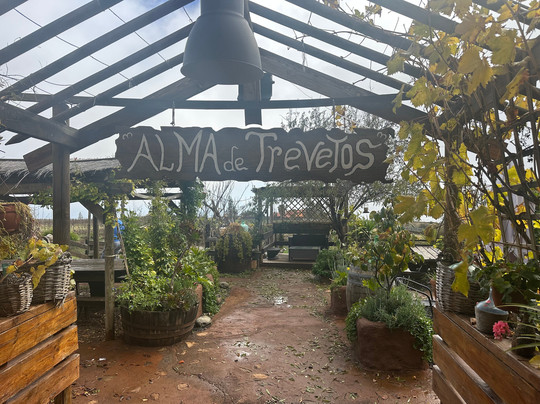 Alma de Trevejos-Vilaflor必去景点