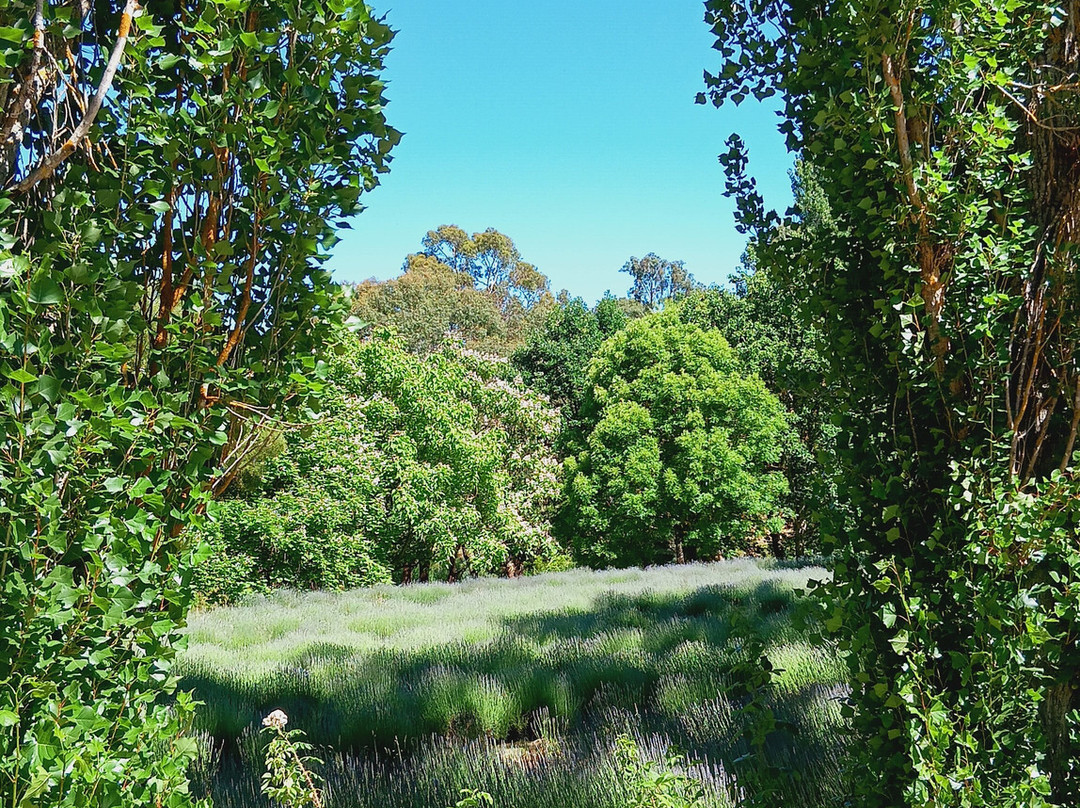 Around And About-威廉斯镇必去景点