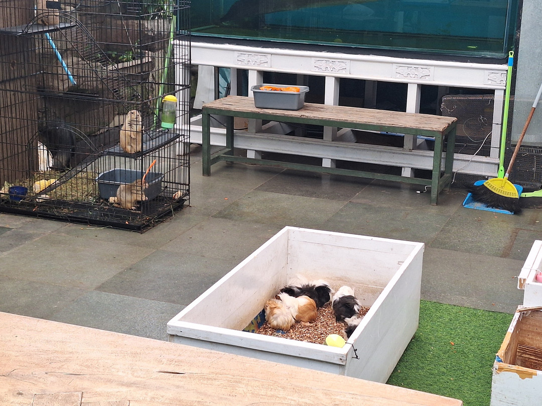 Paris Van Java-万隆必去景点