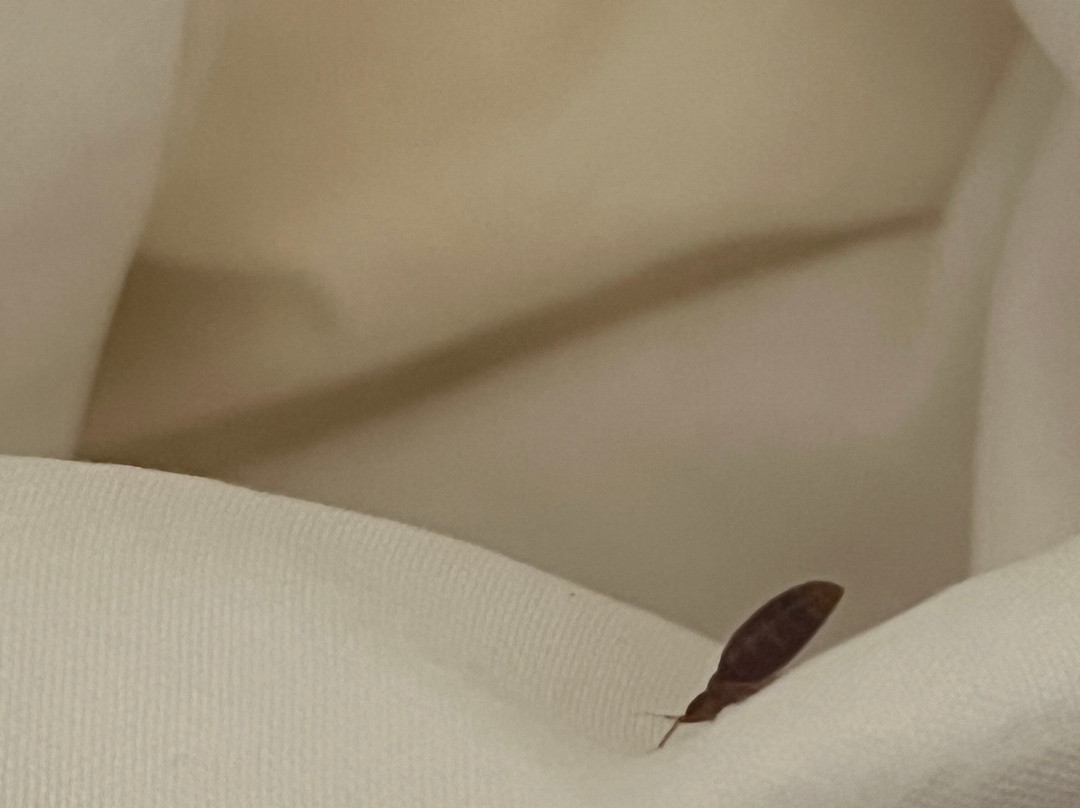 大学康福特茵酒店主图