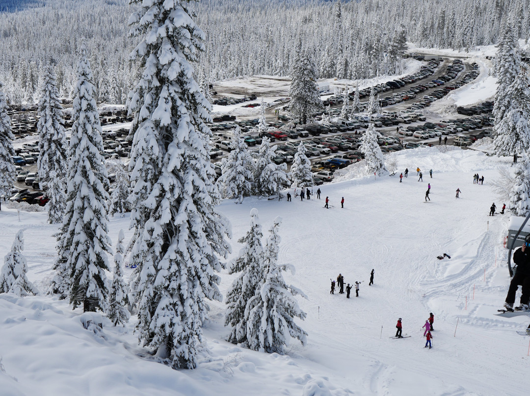 Mount Shasta Ski Park-芒特沙斯塔必去景点