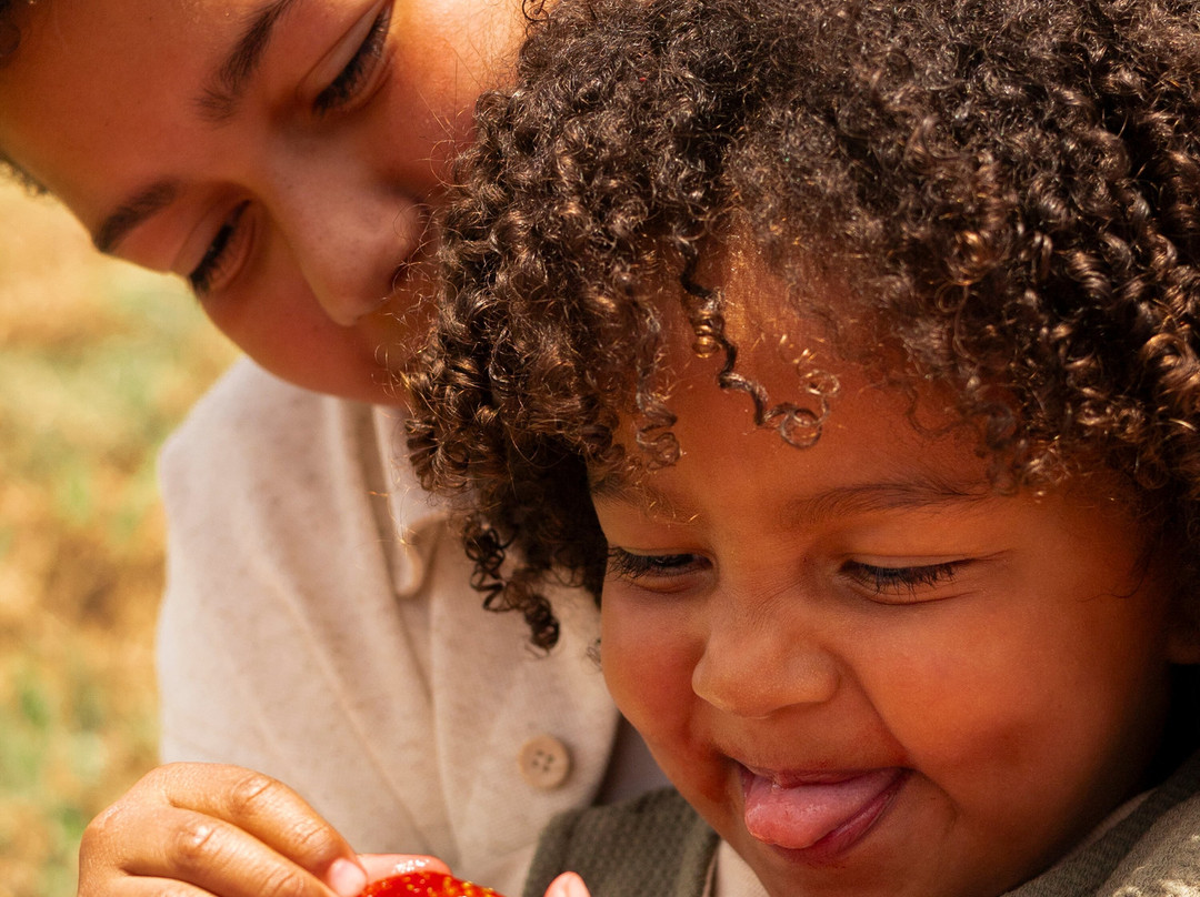 Casa Do Morango-Nova Petropolis必去景点