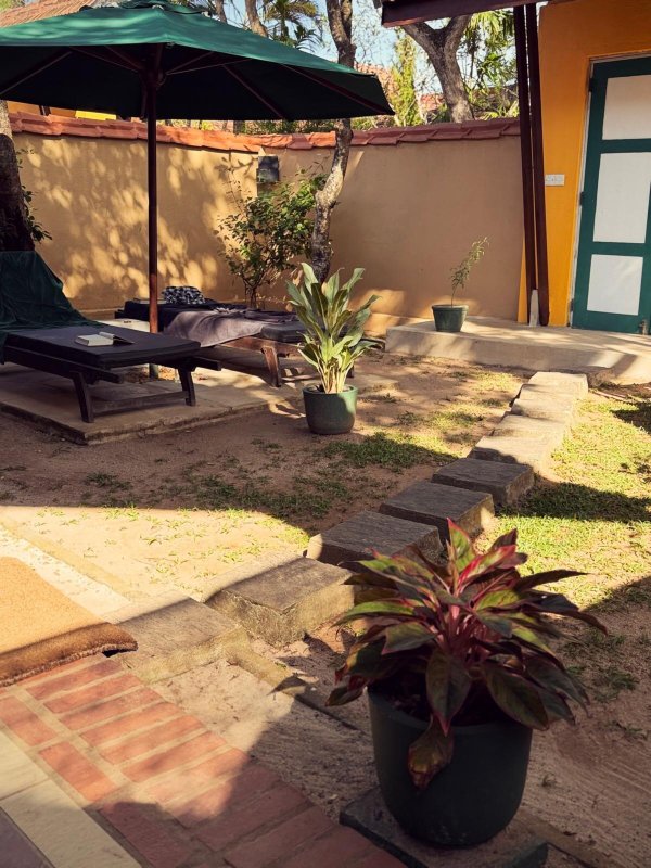 杰特威阿育吠陀酒店-客卧