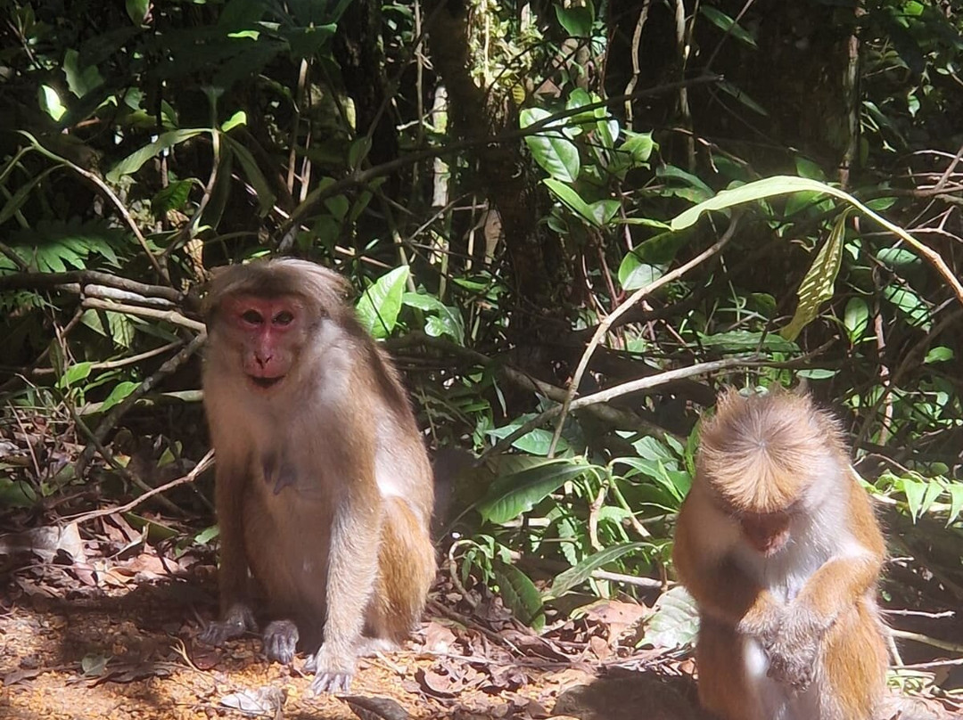 Nilowin Glenanore guesthouse主图