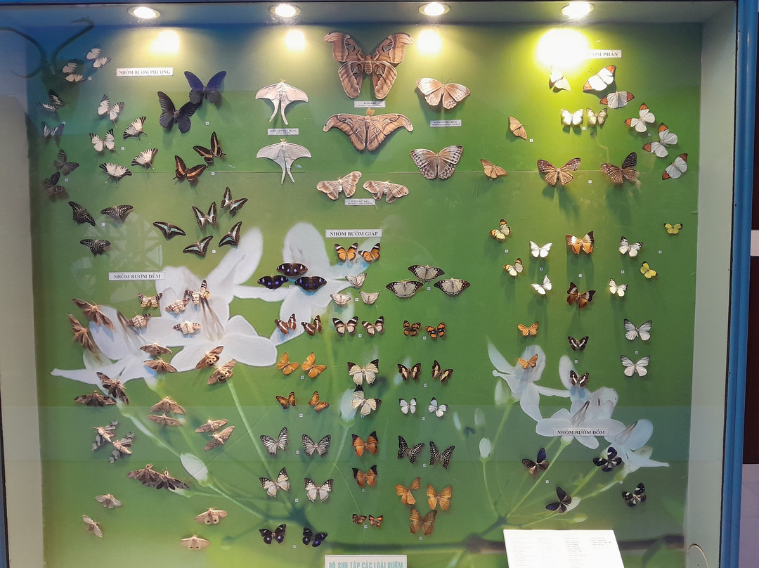 Lam Dong Museum-大勒必去景点