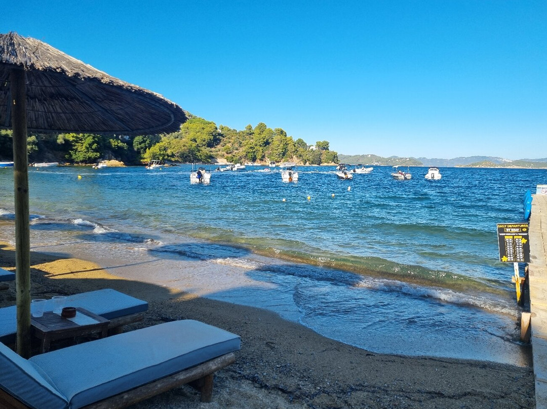 Aggelos Studio主图