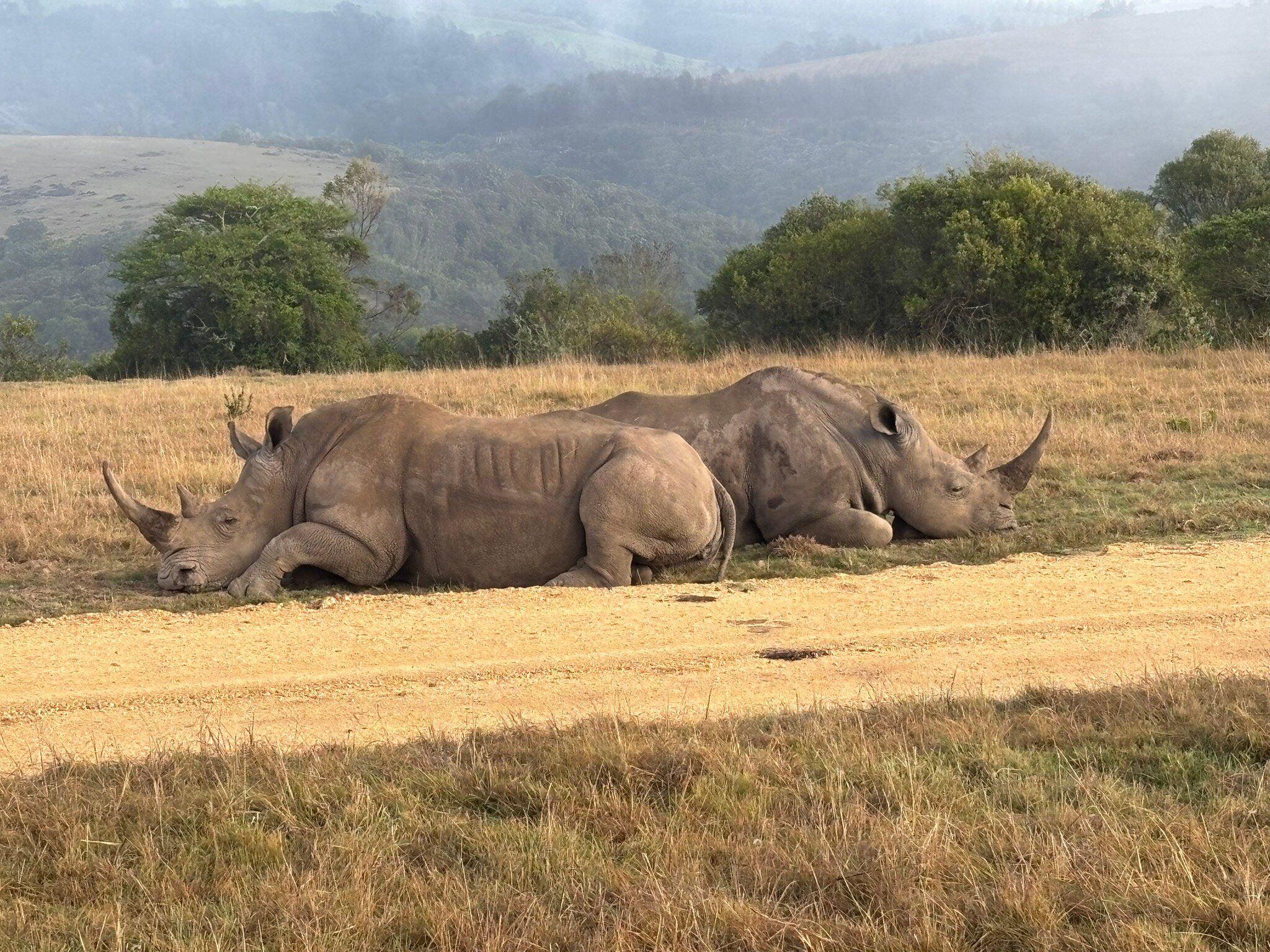 伯特利尔私人狩猎区旅馆-官方