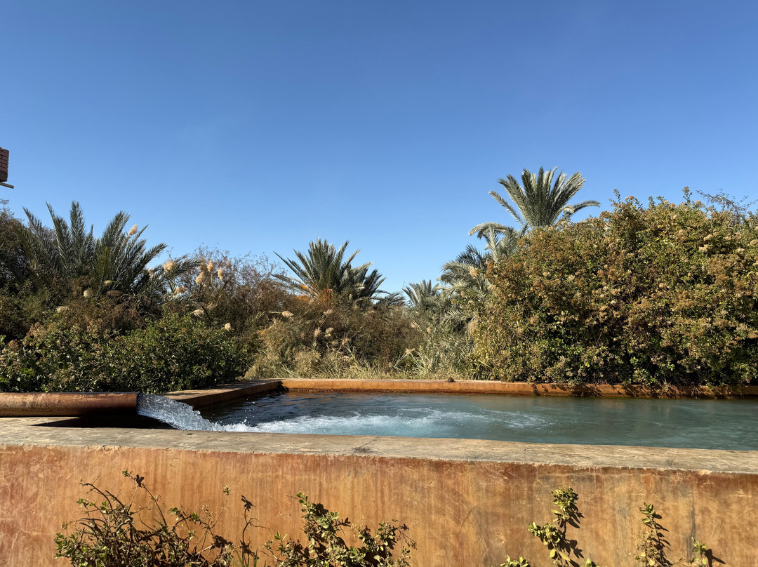 Hamada Desert Safari-Bawiti必去景点