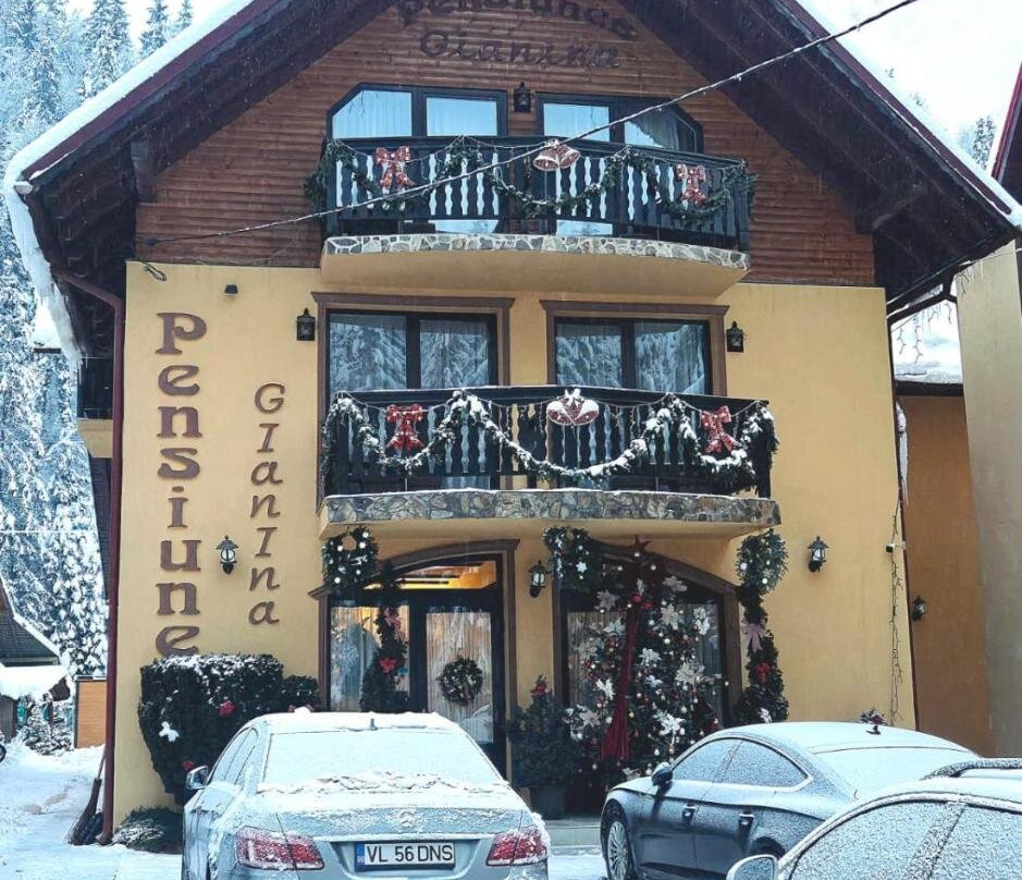 Arieseni酒店住宿-Pensiunea Gianina