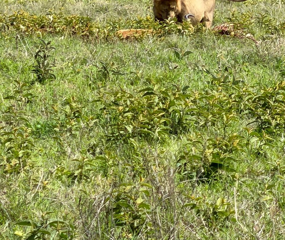 Altezza Travel-莫西必去景点