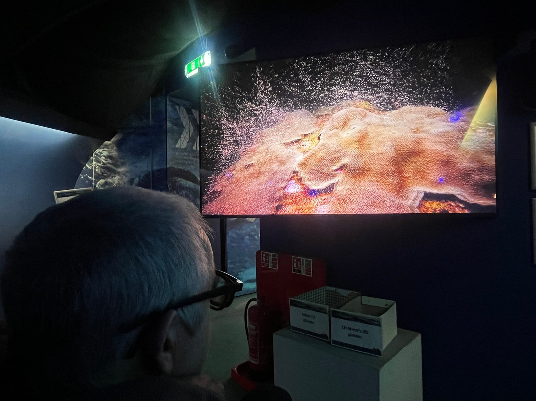 Scottish Seabird Centre-北柏威克必去景点