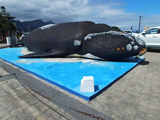 Whale Statue-Sandbaai必去景点