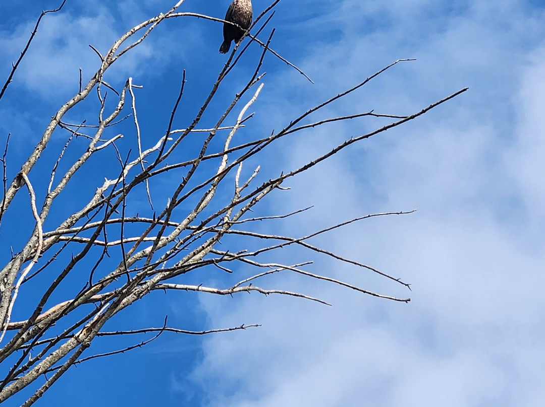 Monroe Lake-布卢明顿必去景点