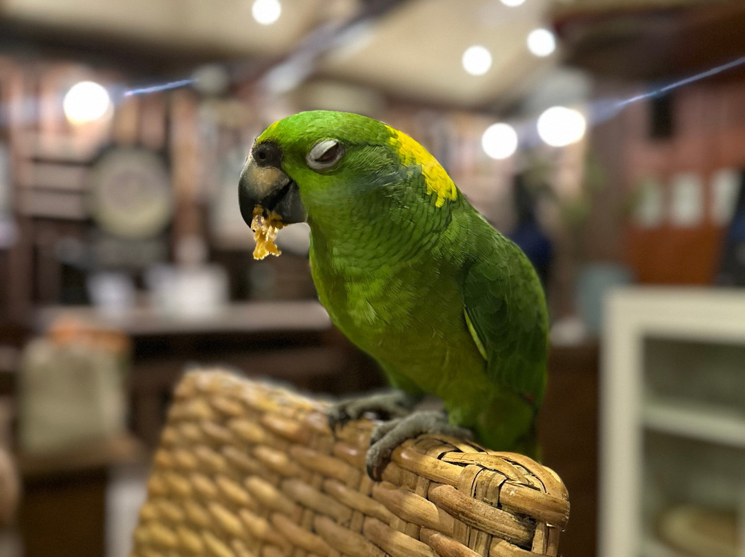 Black Stallion Eco Park & Estates-圣塔克鲁斯必去景点