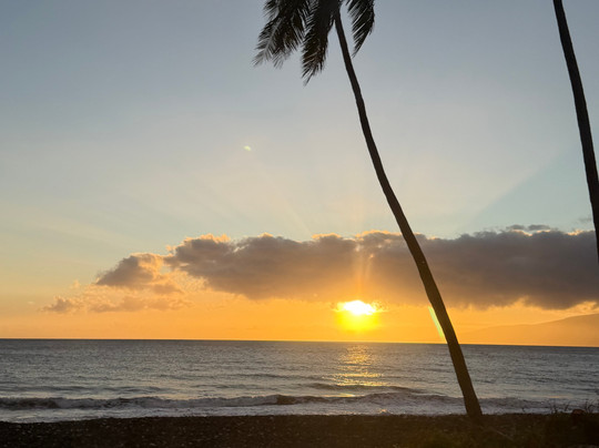 Aloha Sunshine Tours-火奴鲁鲁必去景点