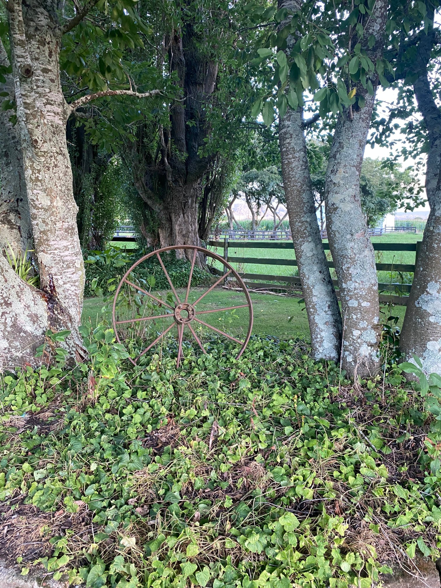 托尔公路汽车旅馆-官方