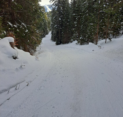 Bergwanderführer Tirol-洛伊塔戌必去景点