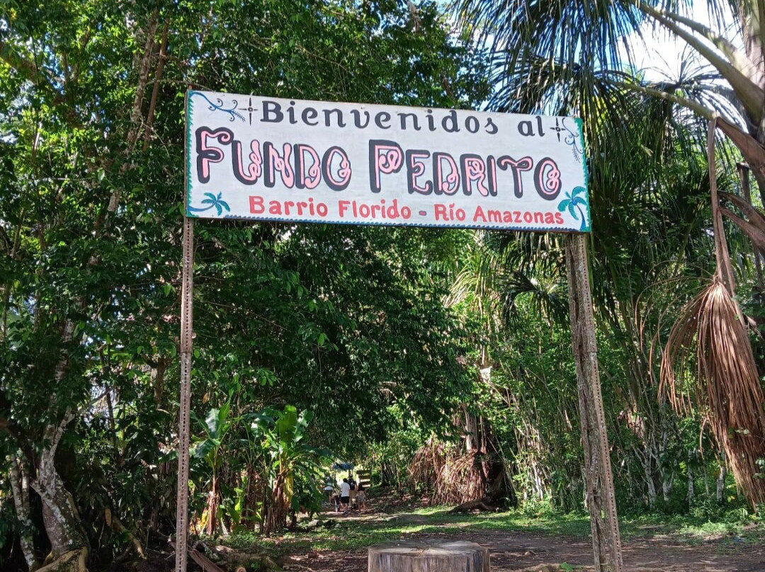 Fundo Pedrito-伊基托斯必去景点