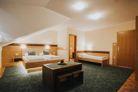 Slovenske Konjice酒店住宿-Gostisce Ulipi