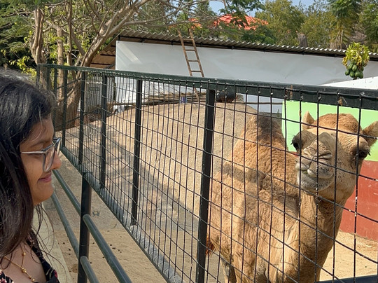 Fundera Park-Yelagiri必去景点