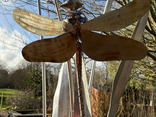 Sir Harold Hillier Gardens-罗姆西必去景点