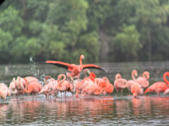 Eureka Natural History Tours-斯卡伯勒必去景点