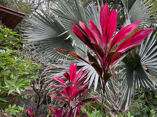 Shell Beach Surf Shop-Shell Beach必去景点