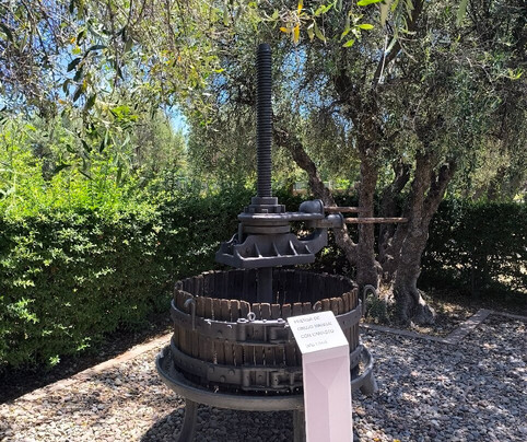 Bodega Labiano-圣拉斐尔必去景点