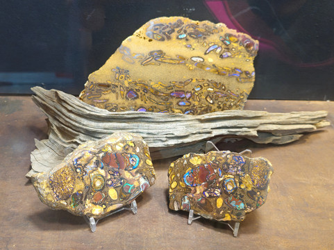 Opal Museum-布里斯班必去景点