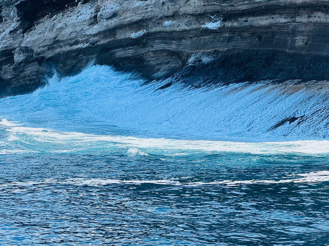 Turtle Island-维里亚米尔港必去景点