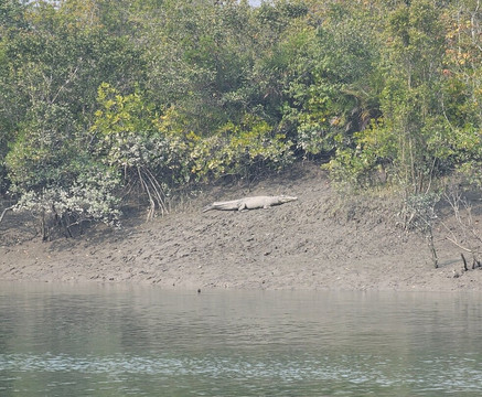 Nature Explorers India-孟买必去景点