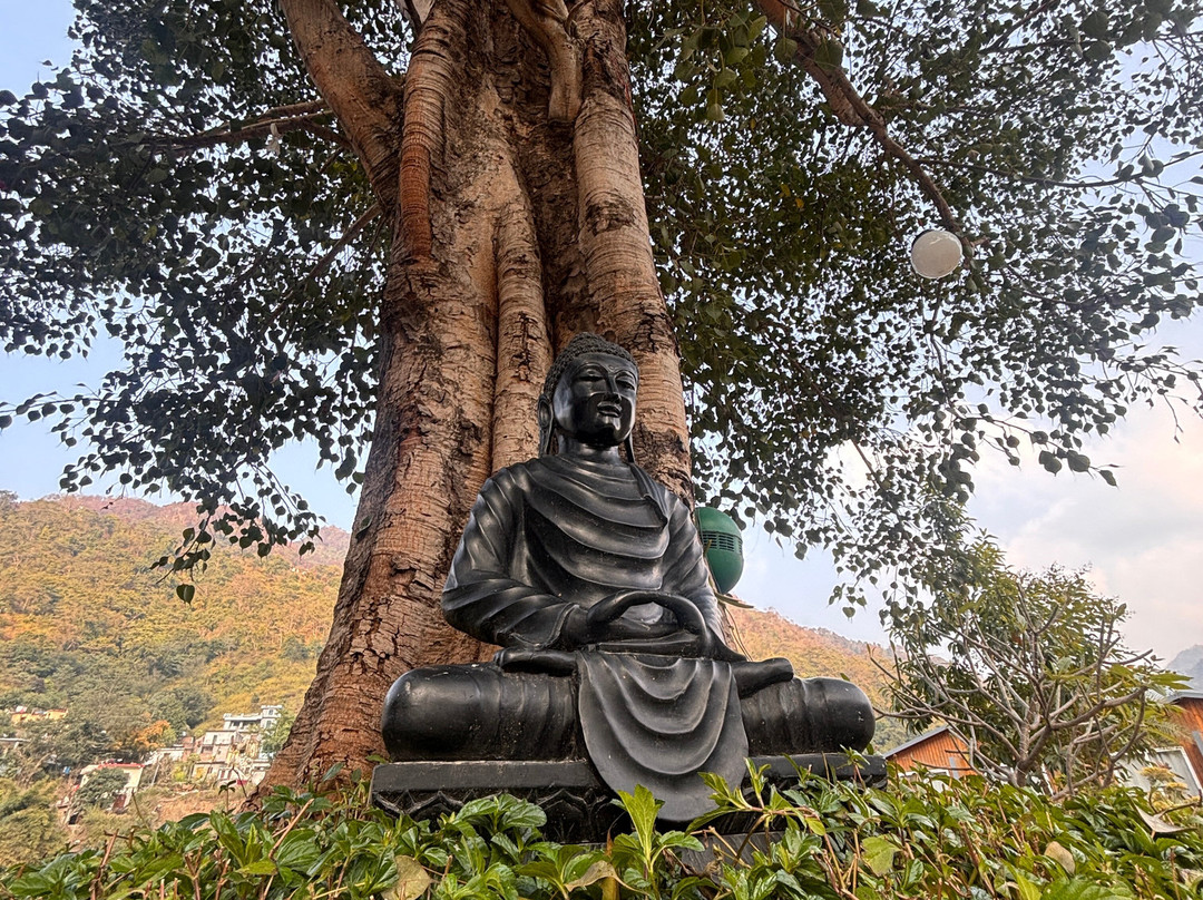 juSTa Luxe Rasa Retreat & Spa, Rishikesh主图