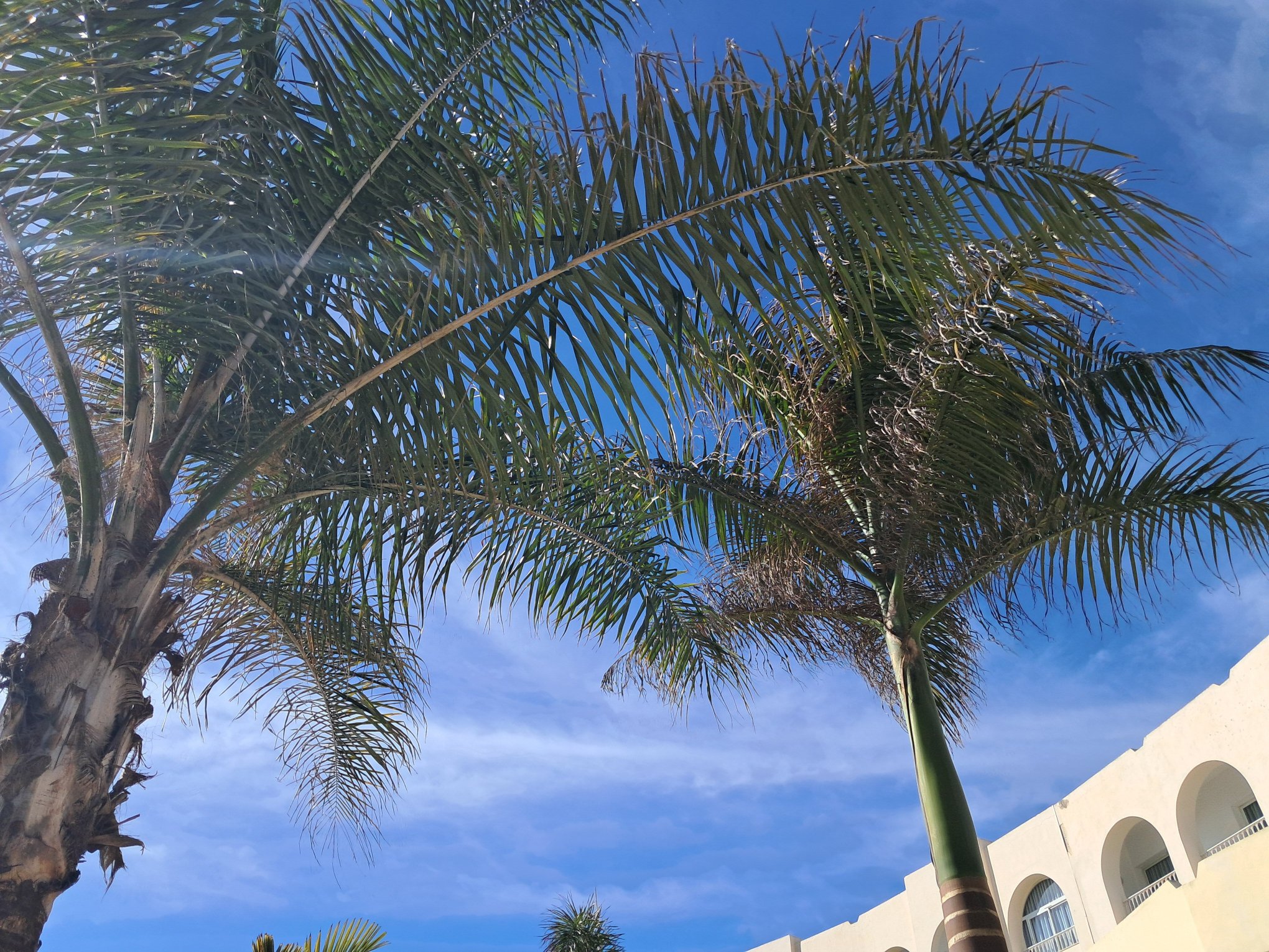 Hôtel Khayam Garden Beach Resort and Spa-官方