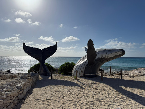 Grand Turk Cruise Center-Cockburn Town必去景点